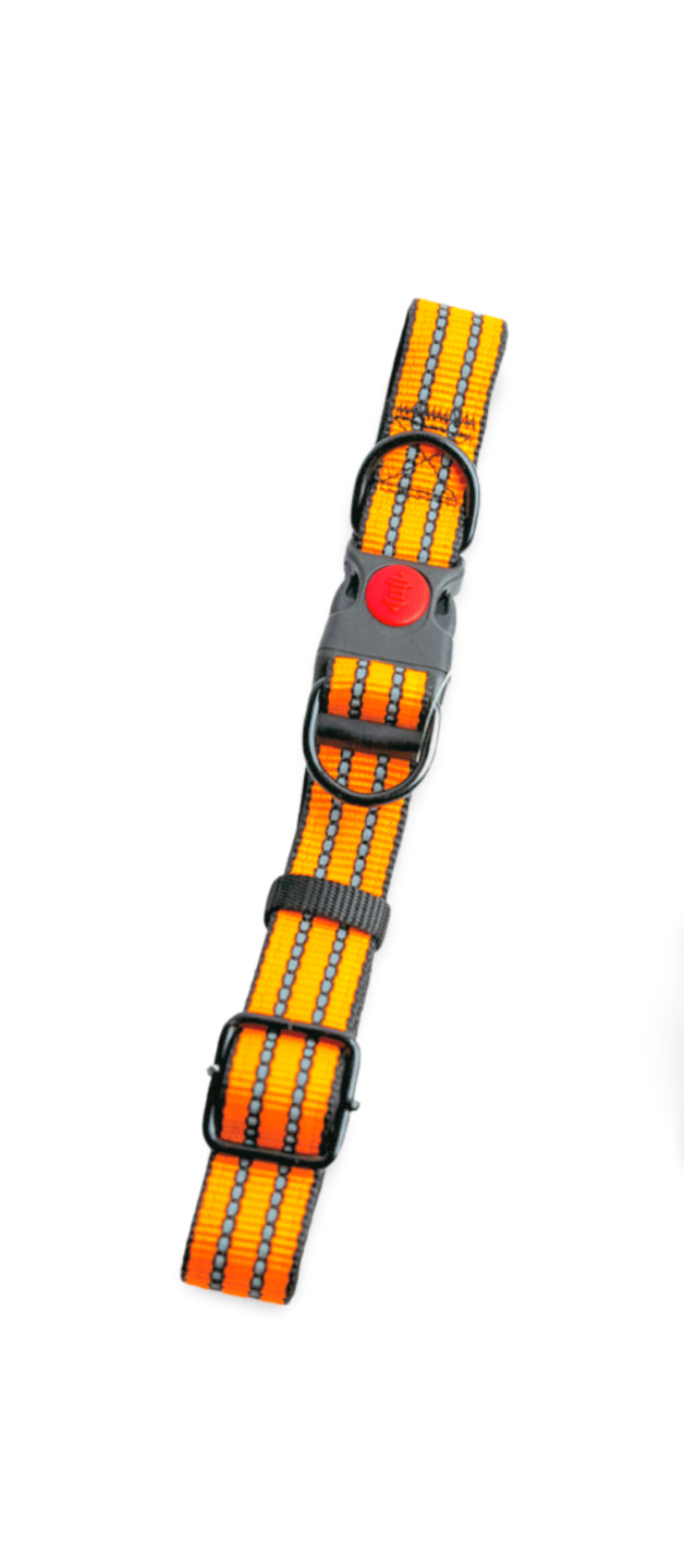 Collar reflectivo para mascota