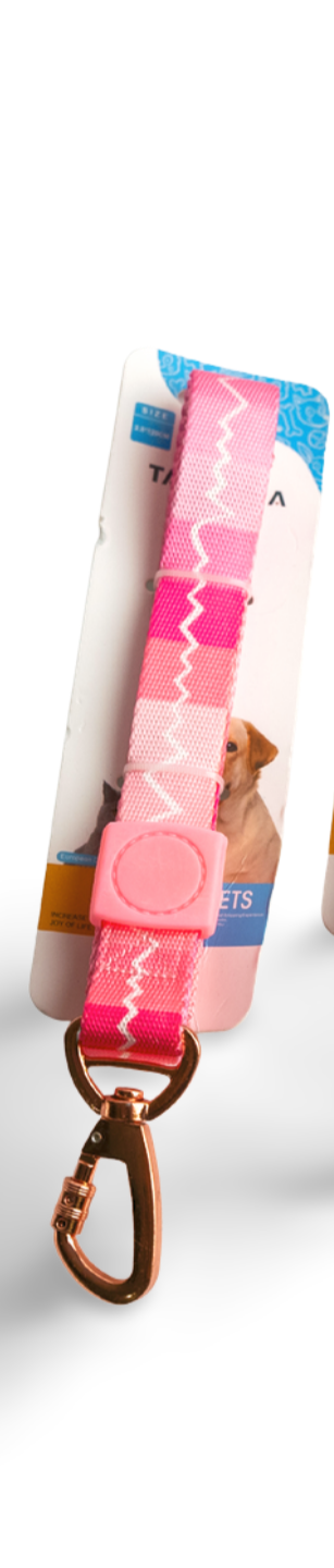 Correa para mascota con detalles en oro rosa