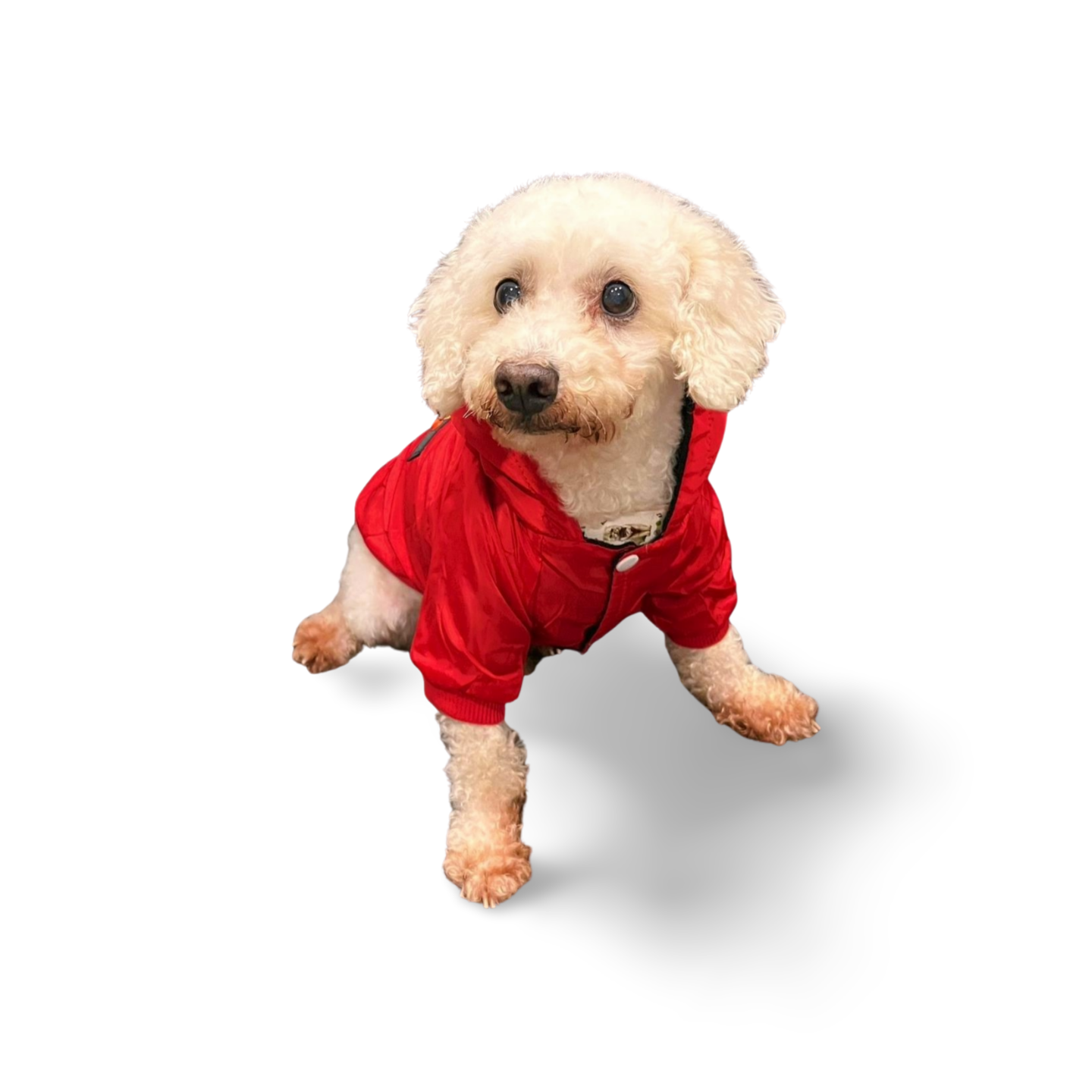 Abrigo reflectivo para mascota